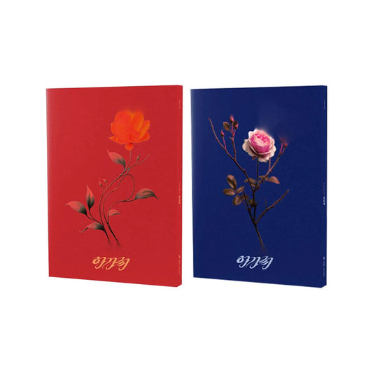 SOOJIN - AGASSY