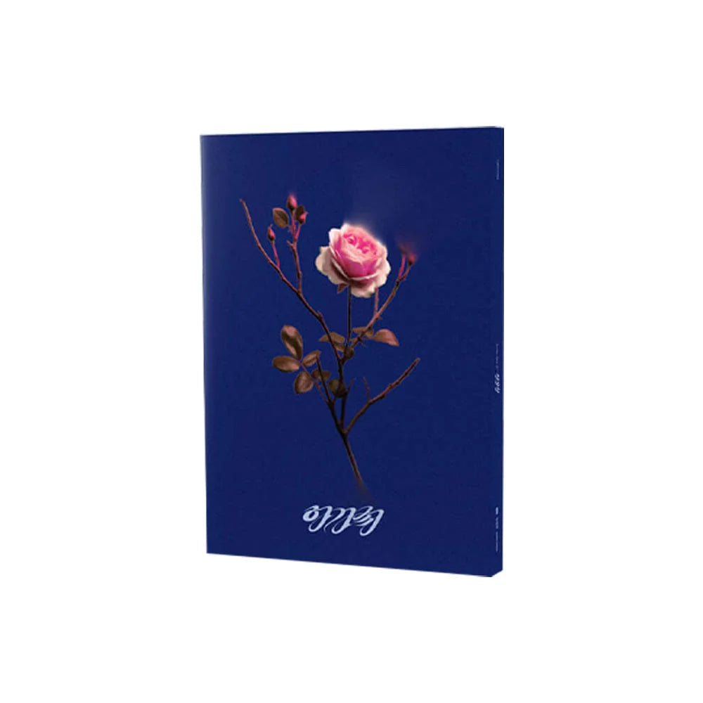 SOOJIN - AGASSY